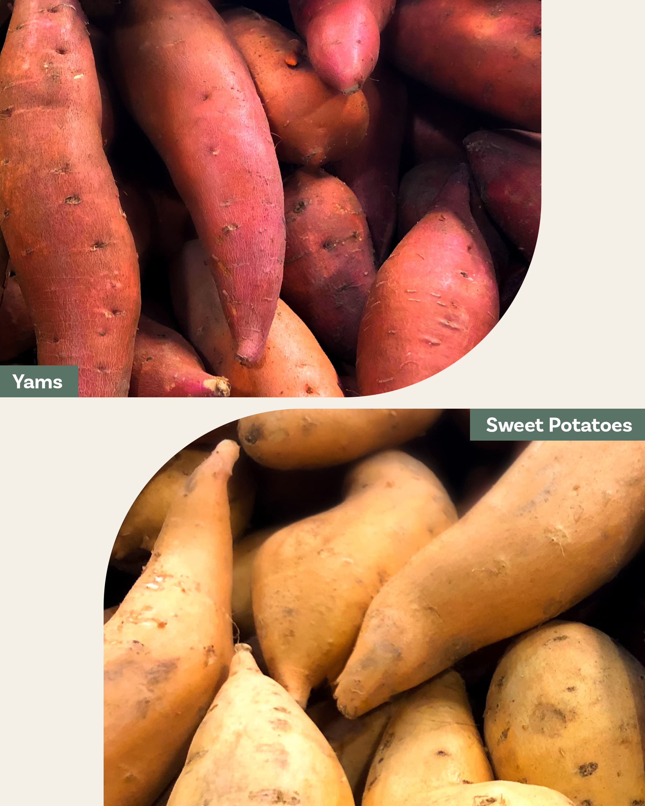 Sweet Potatoes Whole Fresh, Each
