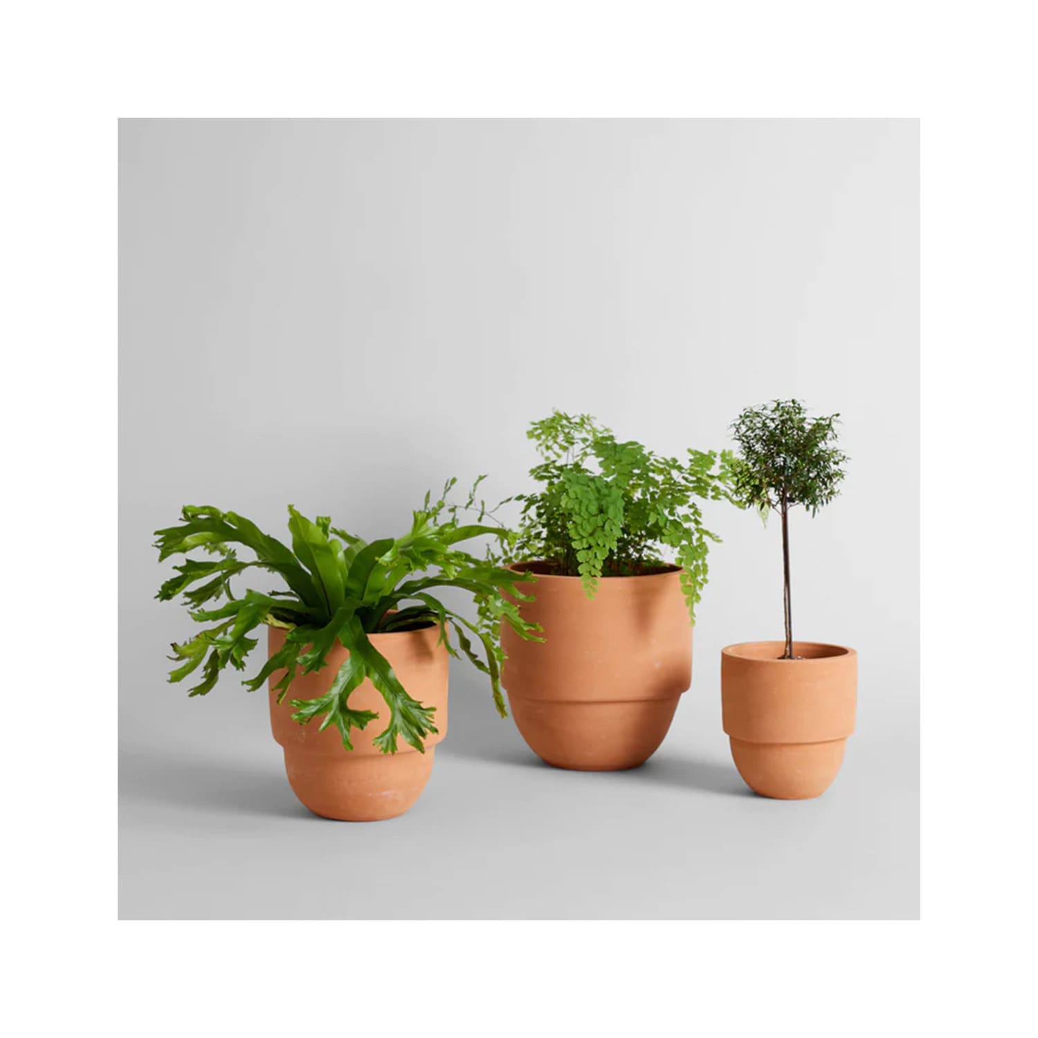  Cheap Plant Pots