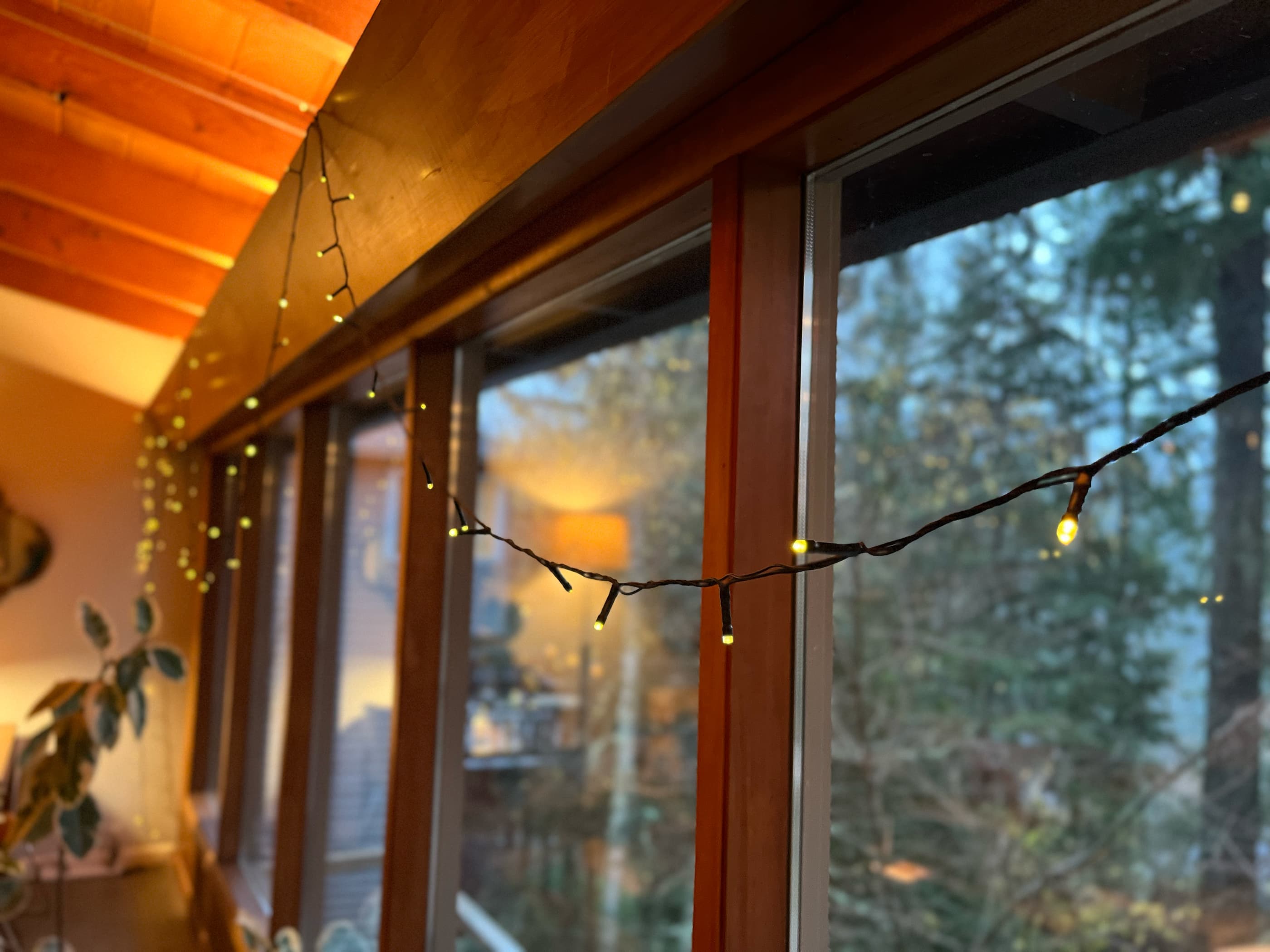 Command Indoor/Outdoor Light Clips