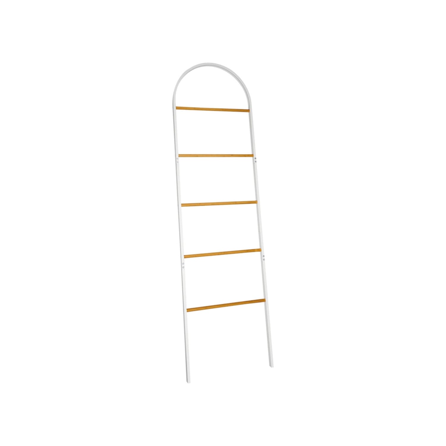 Aldi ladder shop