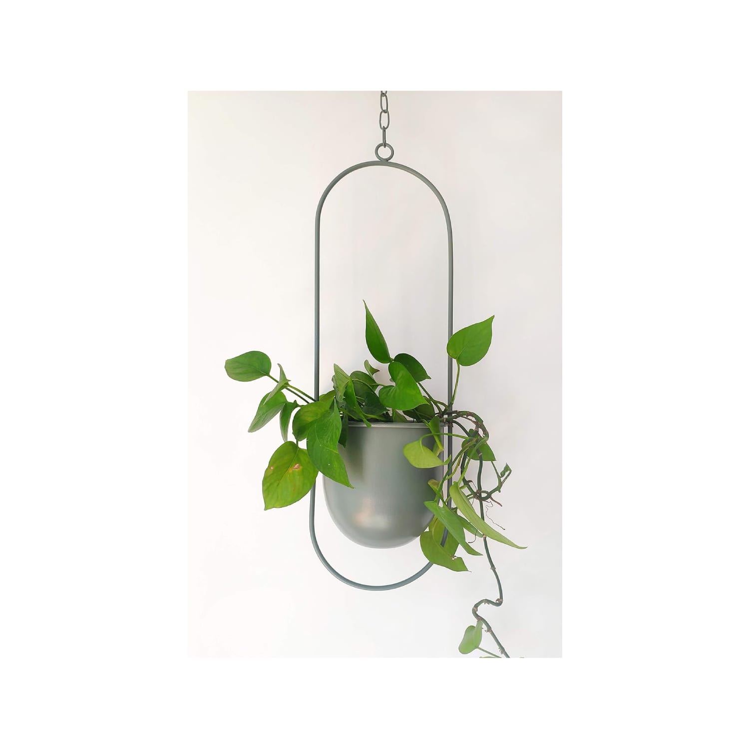 IKEA's $12 CHILISTRAN Hanging Planters Are "Perfect" | Apartment Therapy