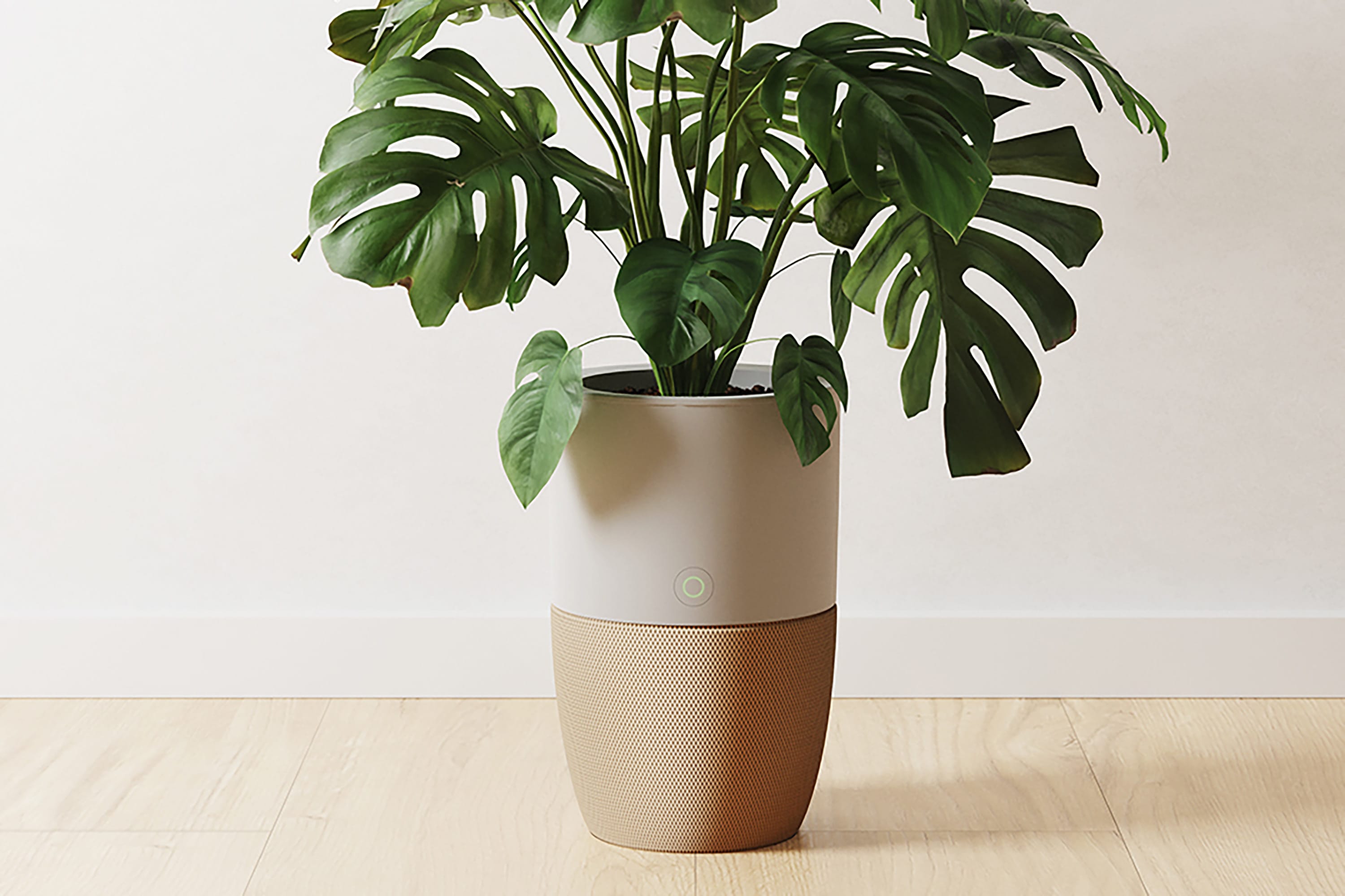 Dupray Bloom Air Purifier – H13 HEPA, Planter/Accent Table Design, AutoDetect, Covers 1,517 Sq Ft, For Home & Office
