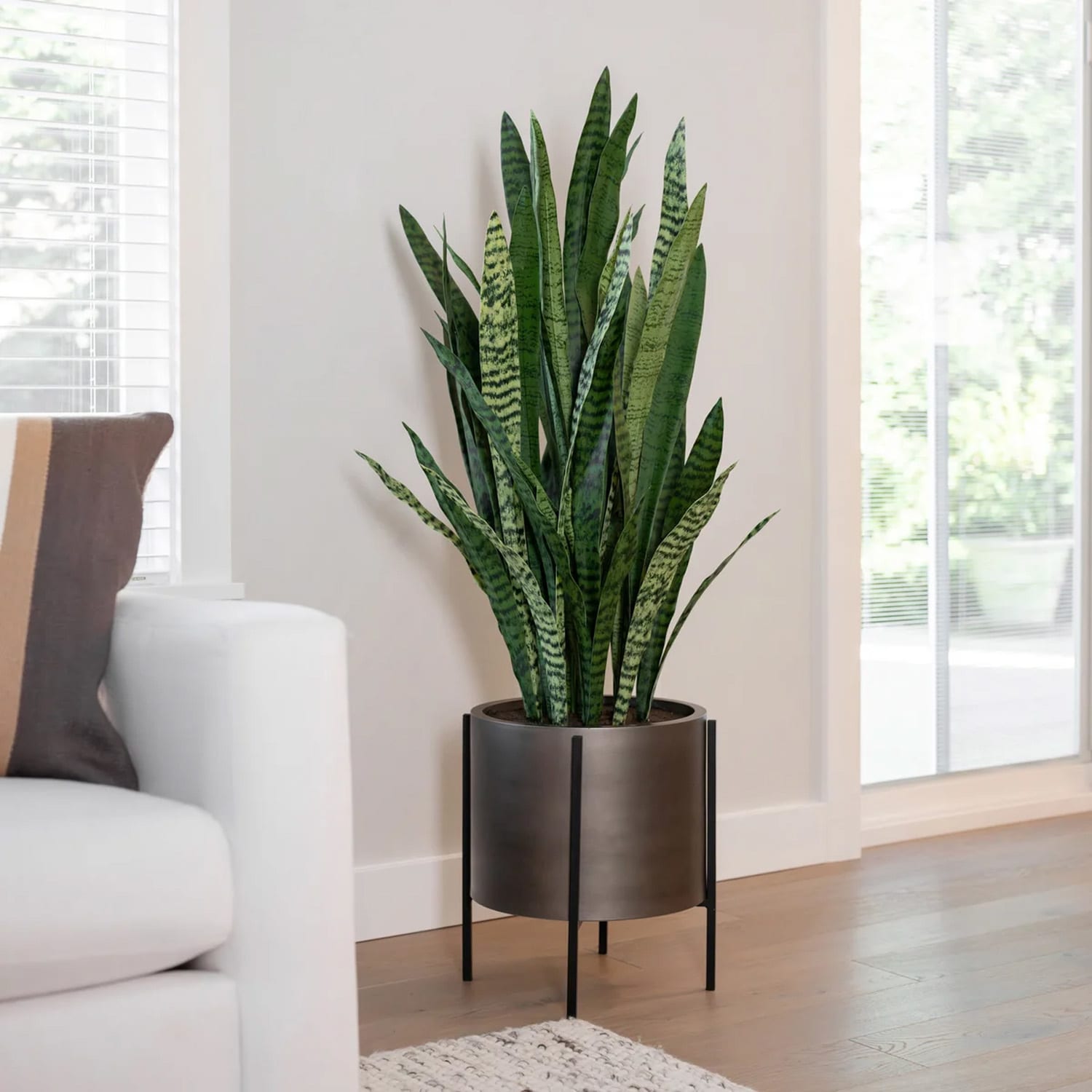 Costco's New Faux Plants Look So Realistic, You'll Want 1 of Each |  Apartment Therapy