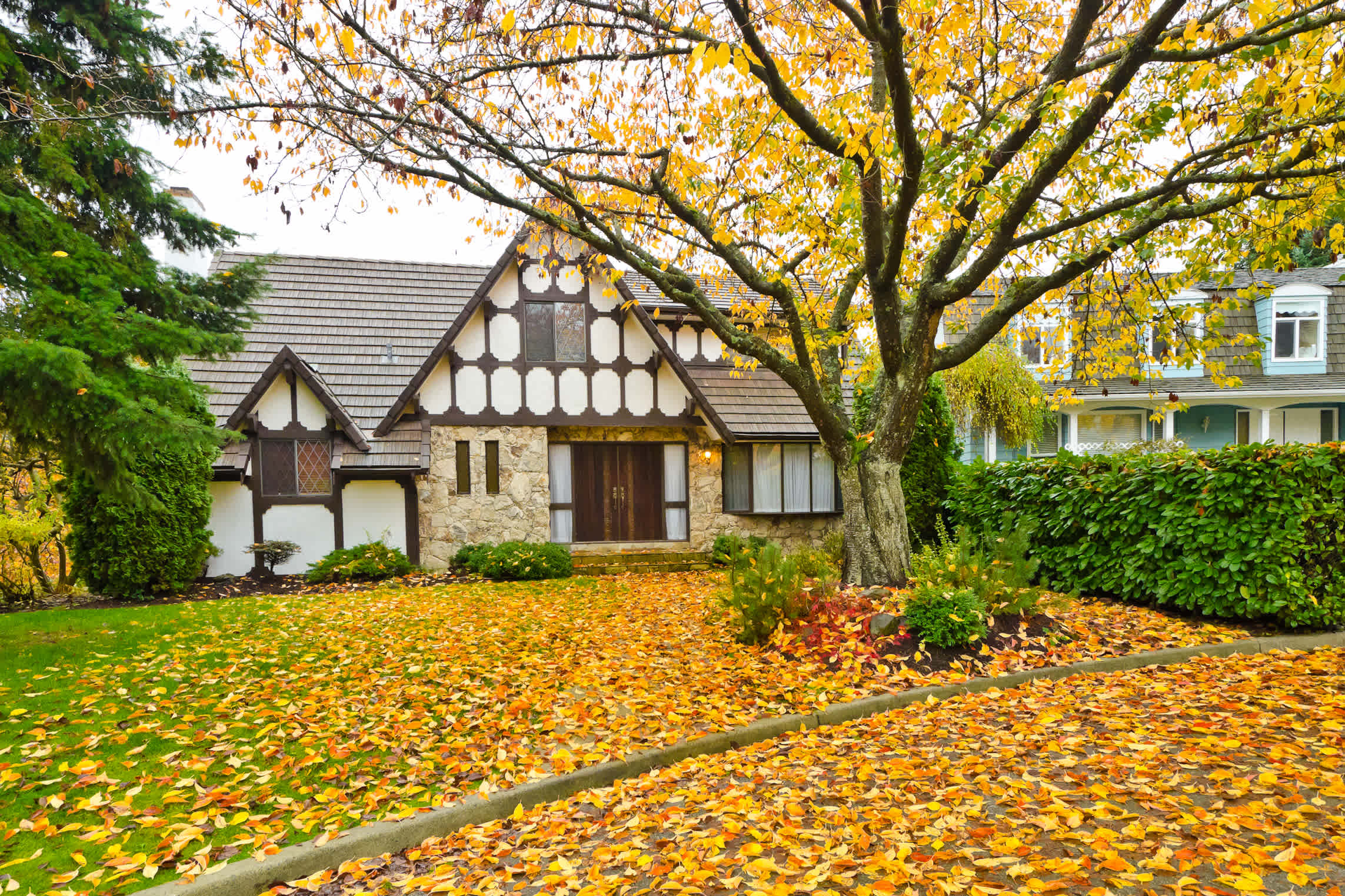 The Lawn-Pro-Approved Truper Rake Is a Must for Fall Leaves