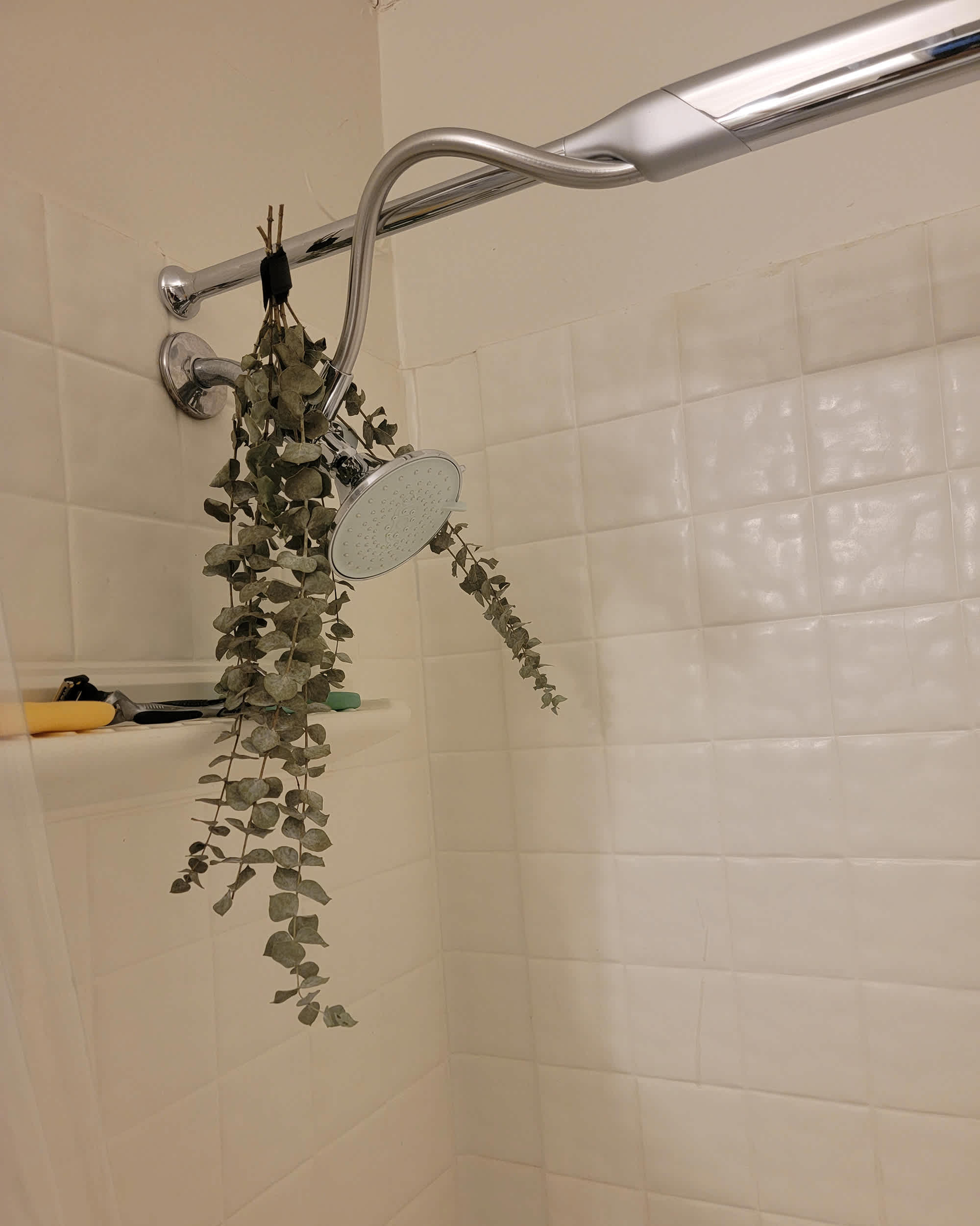 how to tie eucalyptus to shower head