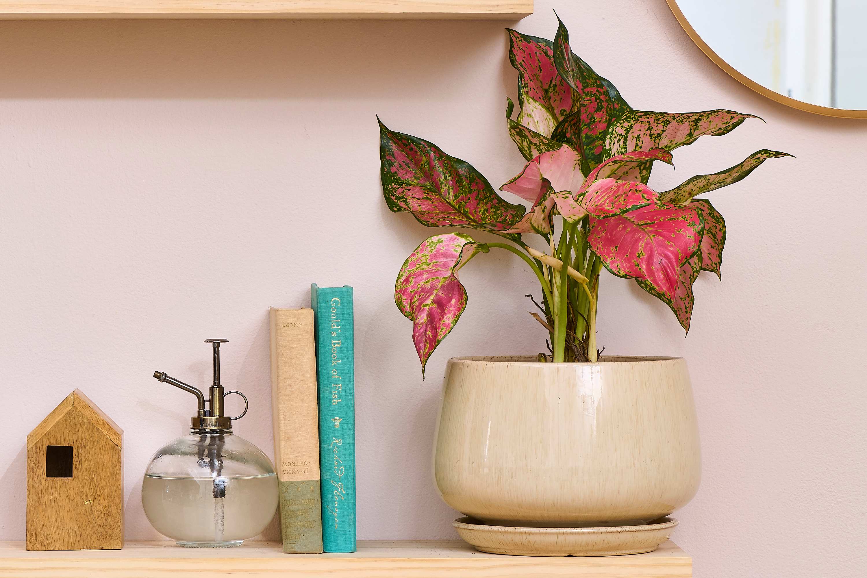 plant hanging shelf GDLF Window Plant Shelving Industrial Pipe Swivel Floating Shelving   shopGDLF