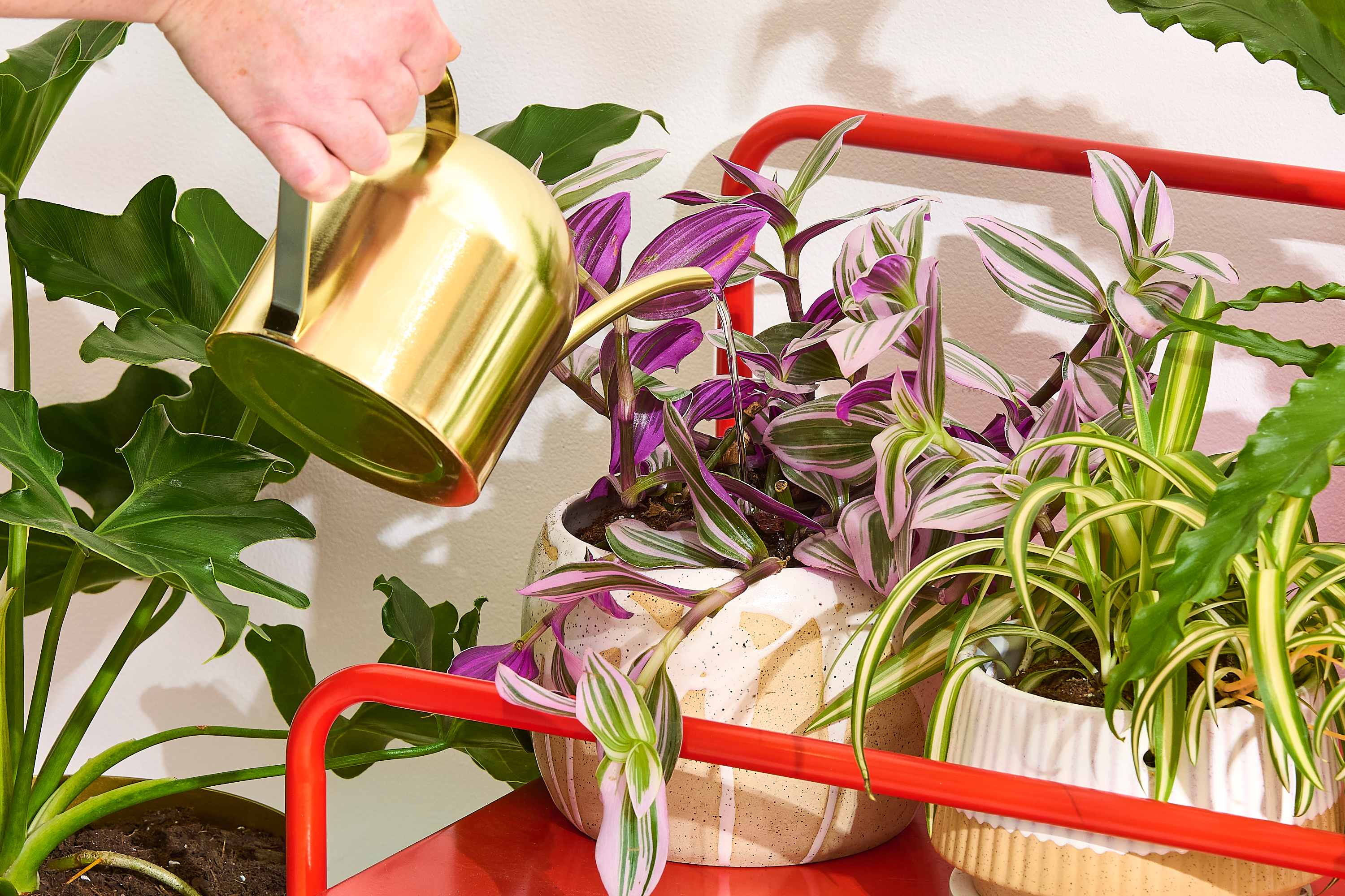 indoor plant stand 3 tier Three Tiered Plant Stand