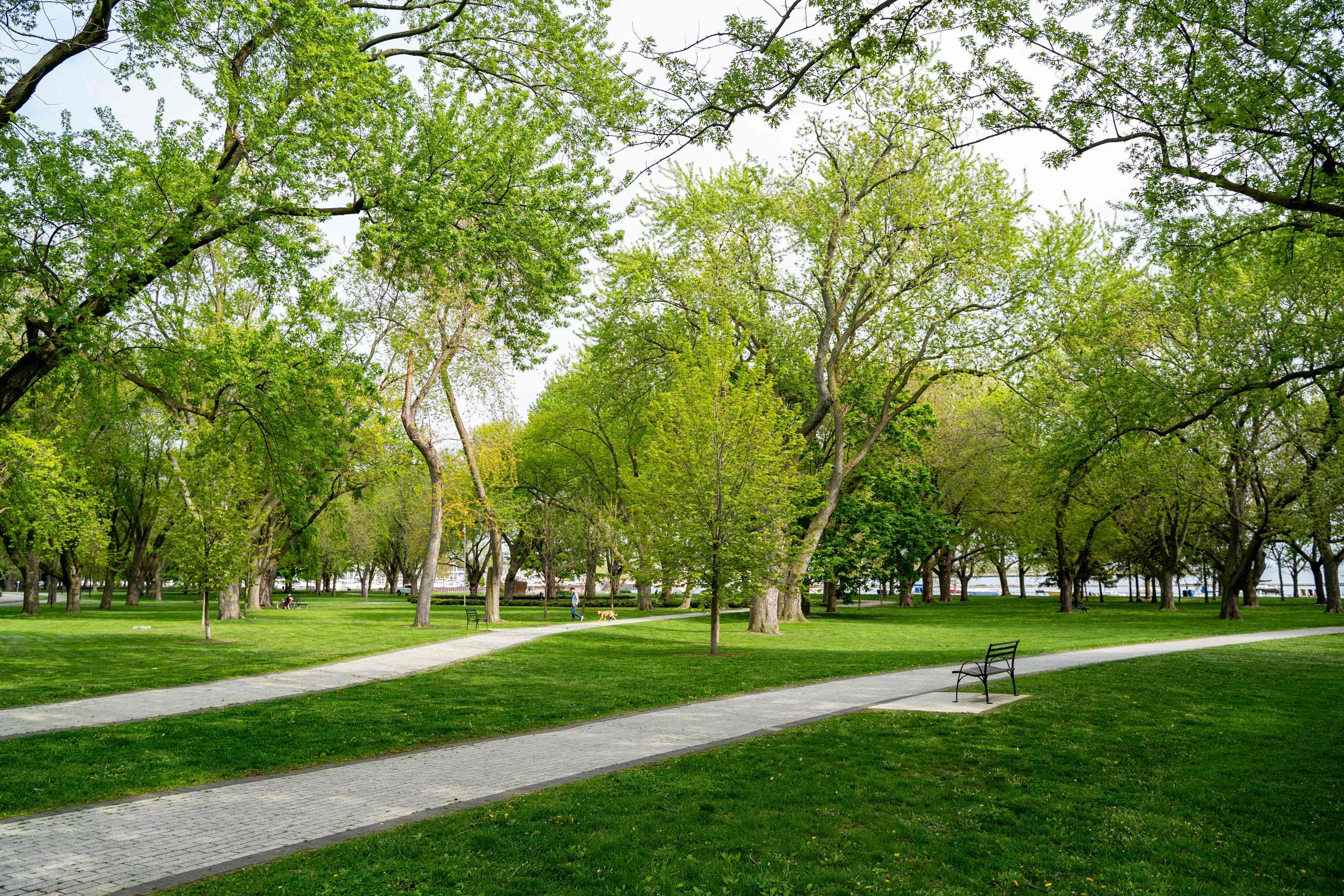 Spring Out Side Spring | Apartment Therapy