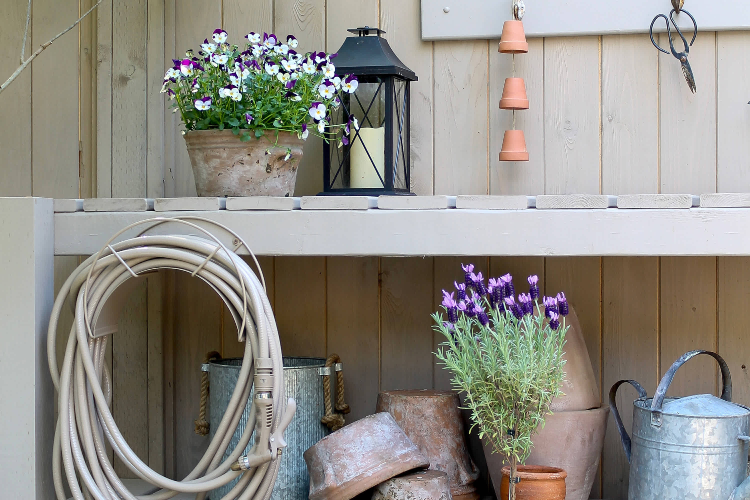 potted plants tall ZZ Plant - Large (2-3' tall) Cement Grey Planter