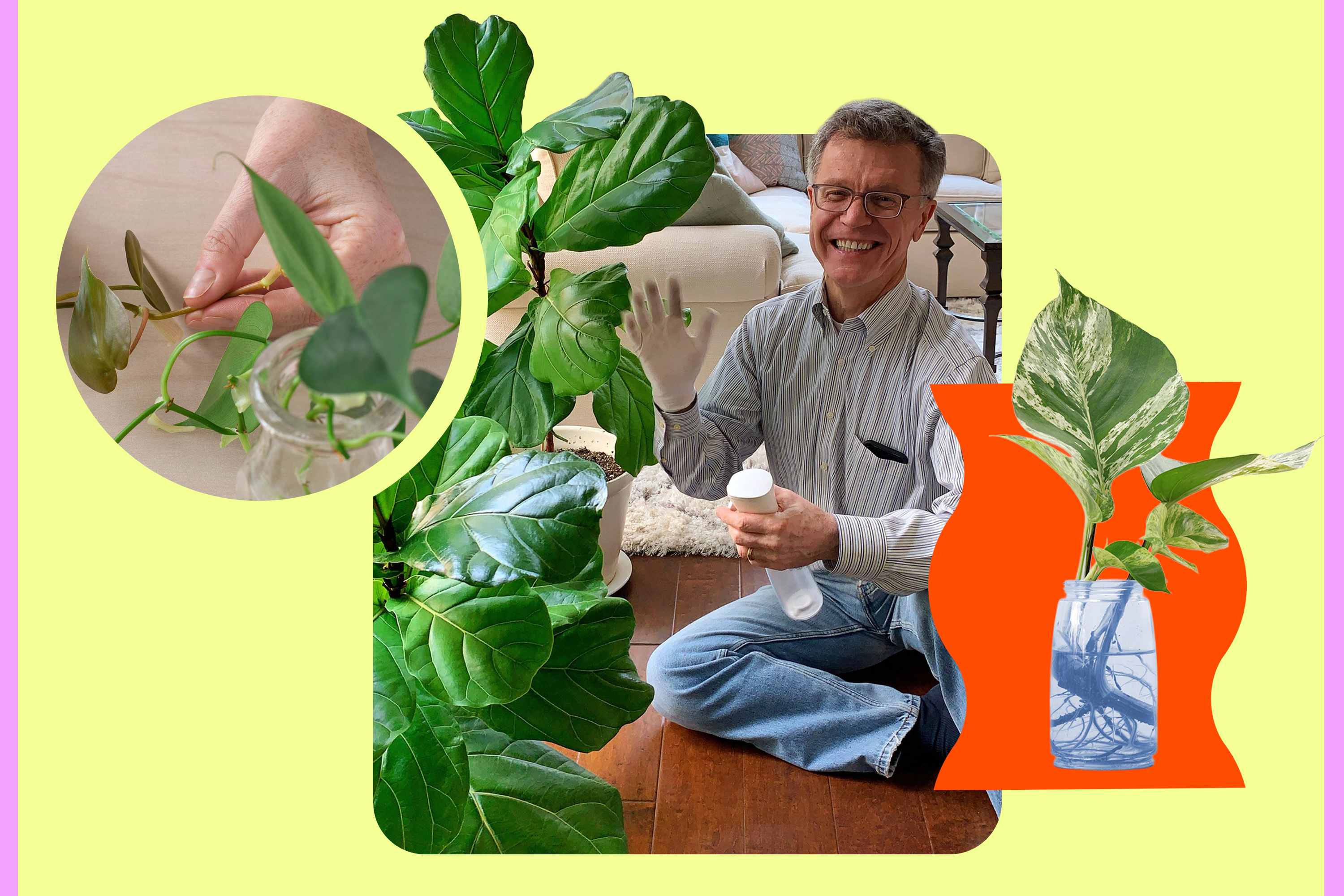 10 Best Houseplant Tips from a True Plant Whisperer | Apartment