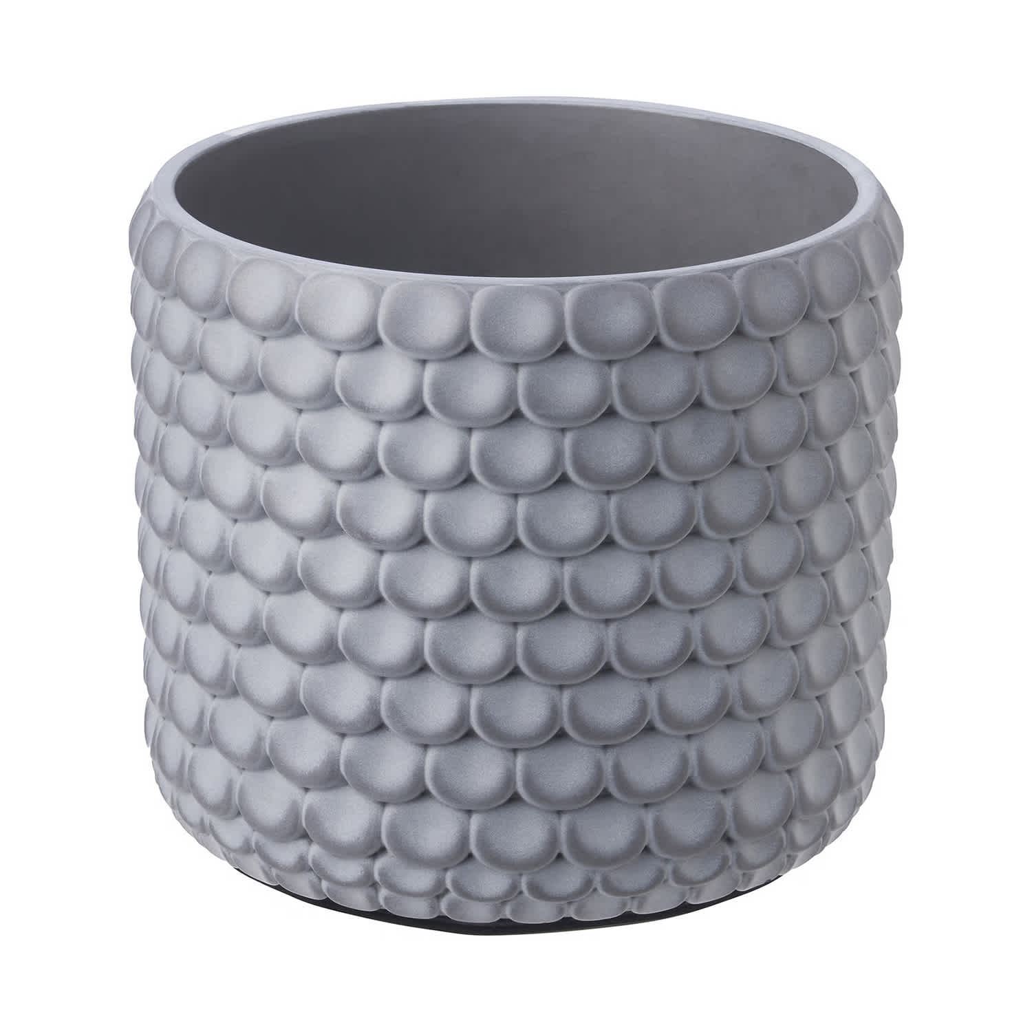 clear plant pot XXL Clear Planter Pots (up to 11-inch) (Set of 3)  Rare Plant Bae