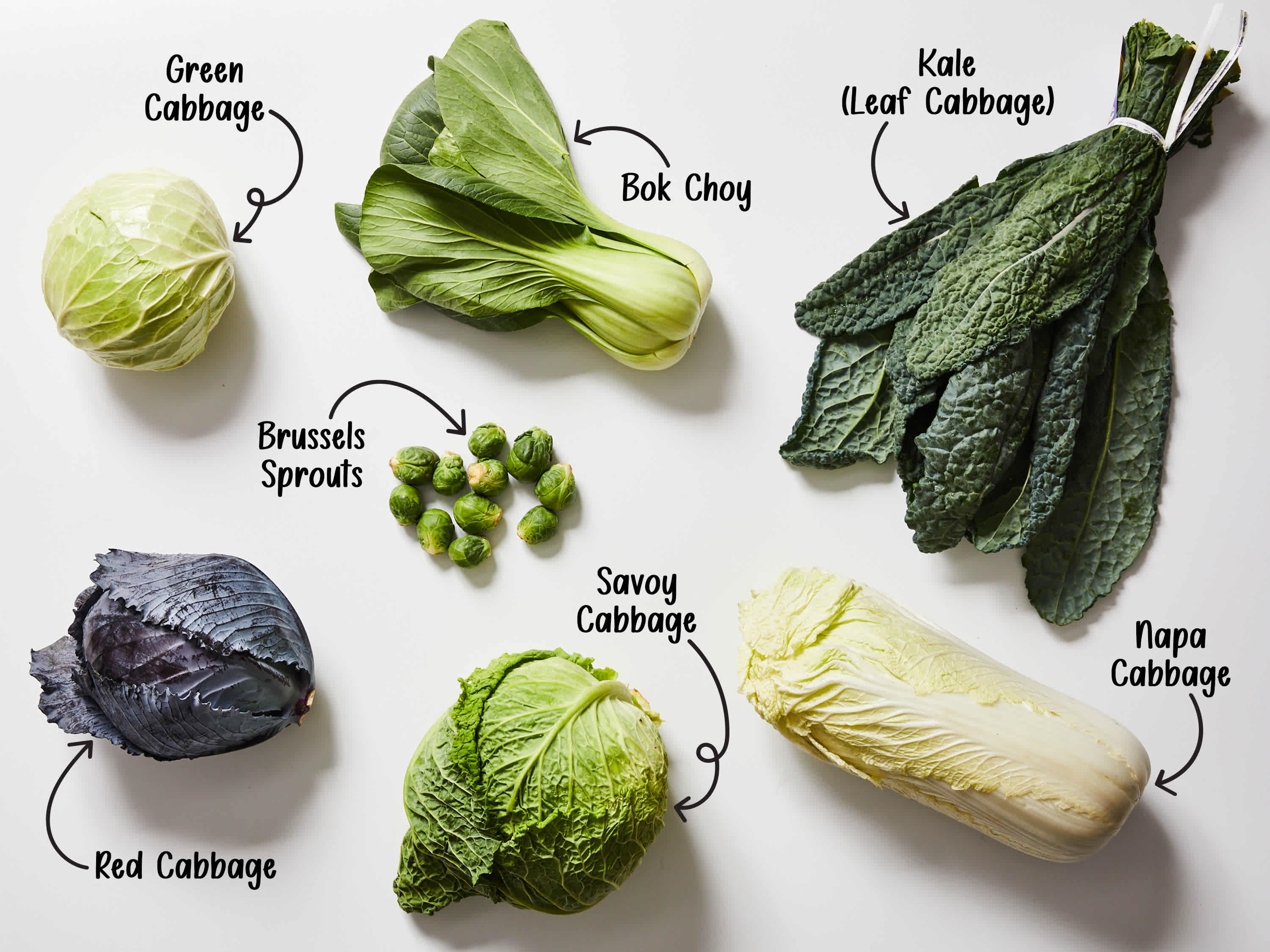 Our Best Cabbage Recipes Ideas The Kitchn Our Best Cabbage Recipes Ideas The Kitchn