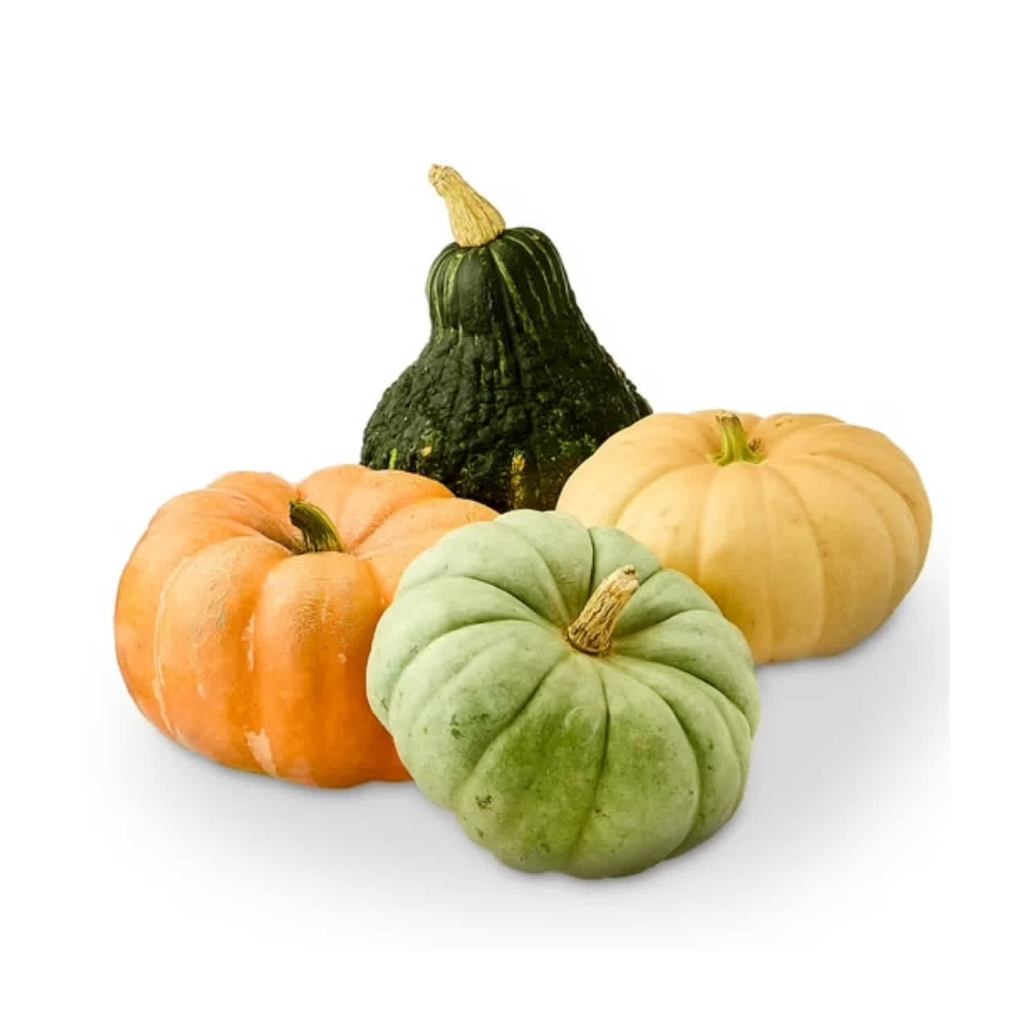 Costco Is Selling Gorgeous Heirloom Pumpkins for Under $7 | Apartment  Therapy