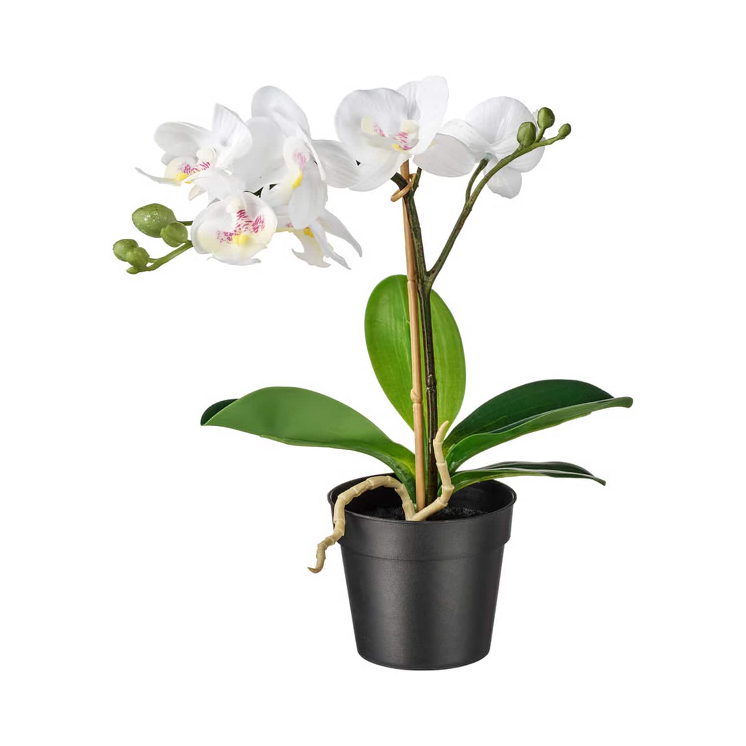 IKEA's $13 FEJKA Orchid Is About To Disappear (Shop Now!) | Apartment  Therapy