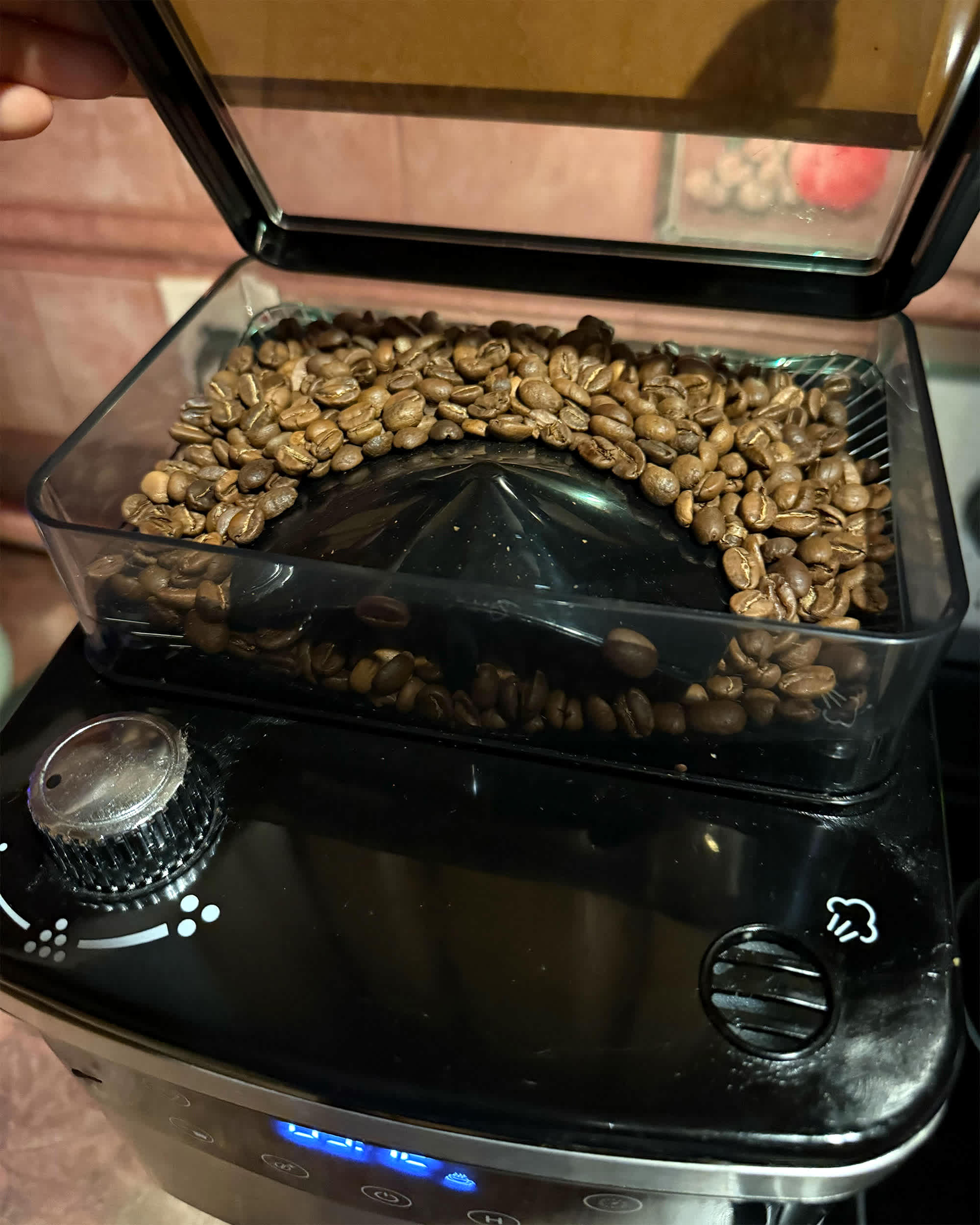 Wabilogic Melitta Aroma Fresh Plus Coffee Maker Review | The Kitchn
